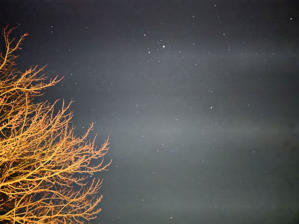 Galaxy S25 Ultra night mode glitch sample.