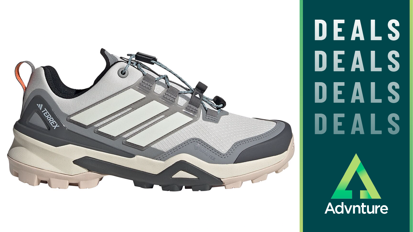 Adidas Terrex Skychasers