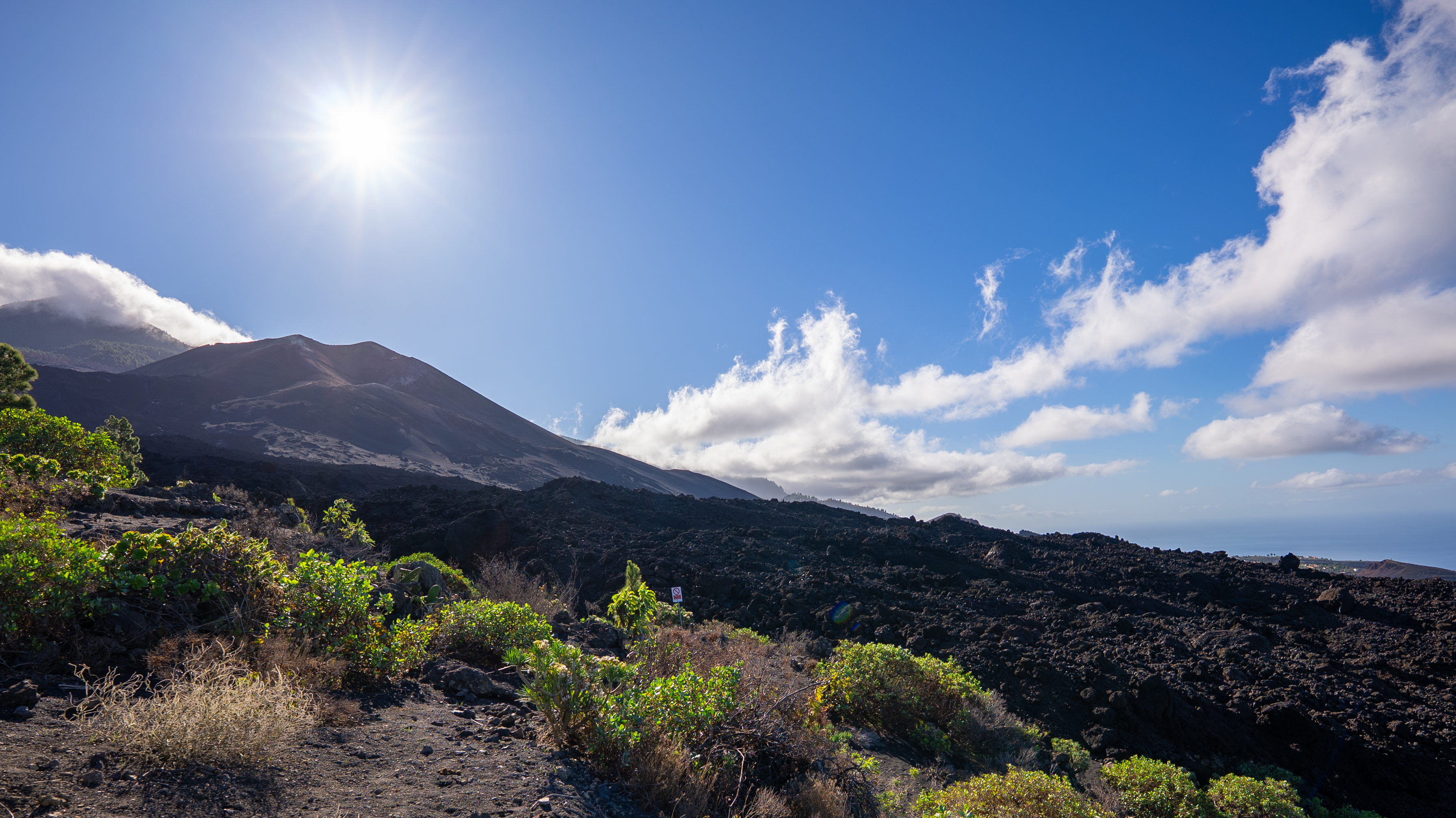 green shrubs in the foreground, a vast lava field in the middle and atall volcano in the distance.