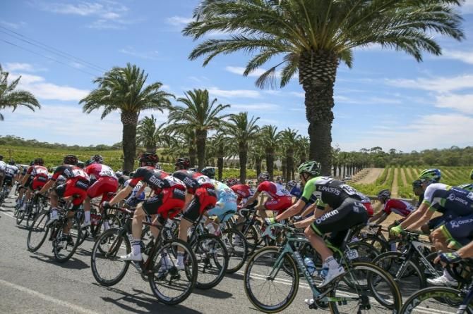The peloton passed through the Barossa