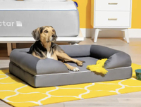Nectar Dog Bed: was $119 now $89 @ Nectar