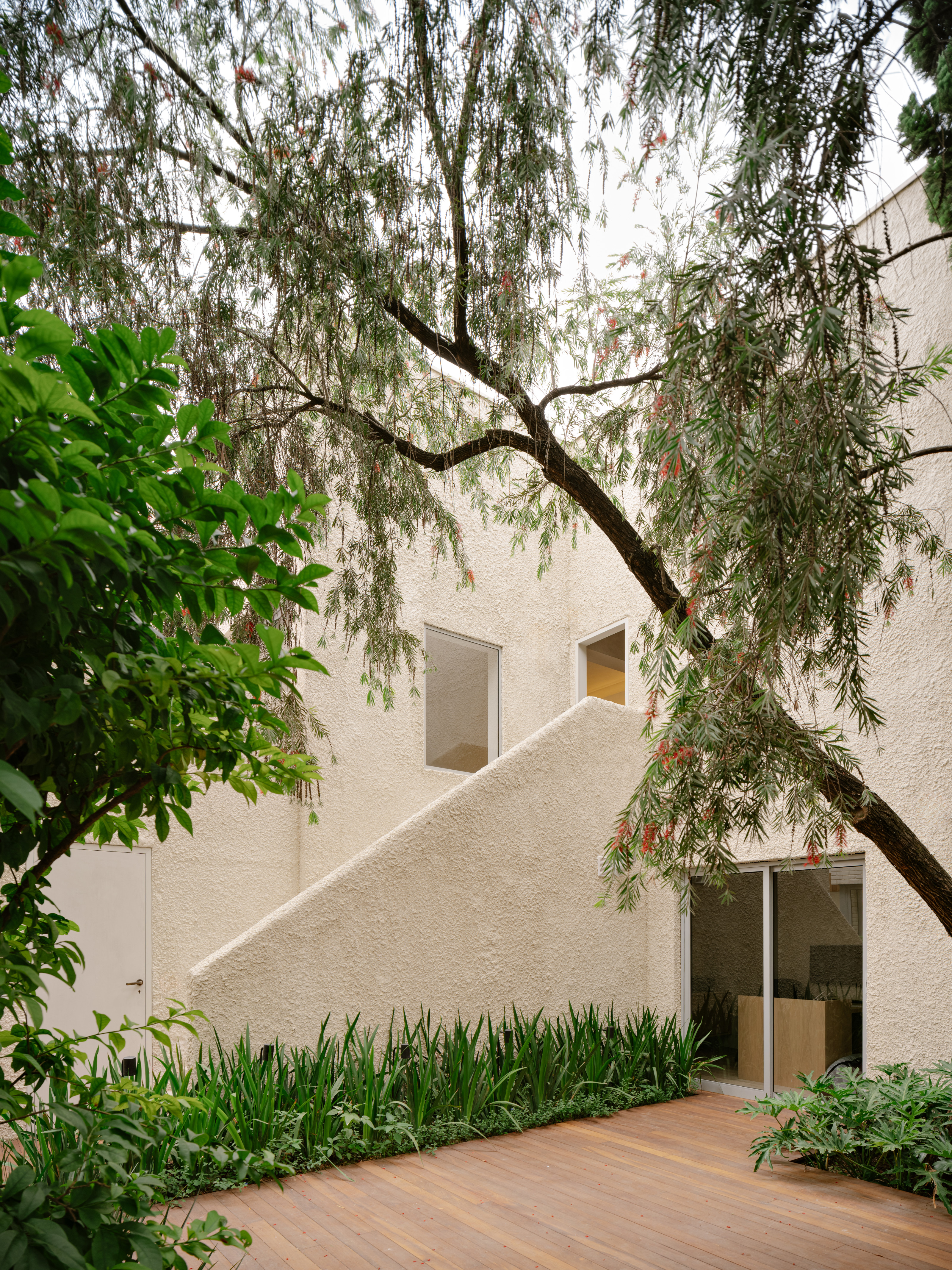 The internal courtyard at Casa Ortiz