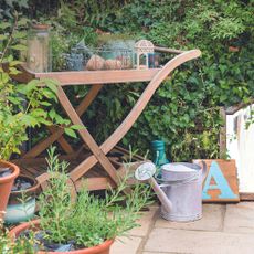 A watering can next to wooden trolley and plants in garden