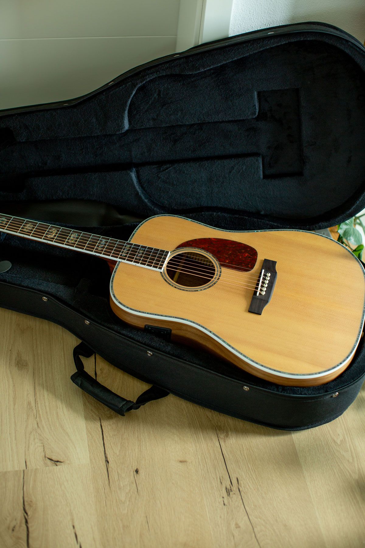 Harley Benton Lightcase
