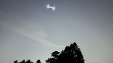 A ghostly white spiral of light in the night sky above some trees