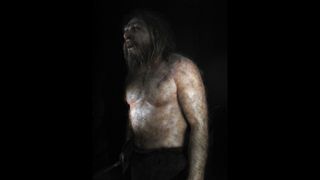 Reproduction of a neanderthal in the Hall of Hominids of the Museum of Human Evolution (MEH), Burgos, Castile and León, Spain.