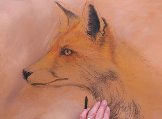 how to draw a fox - image of a fox in pastels