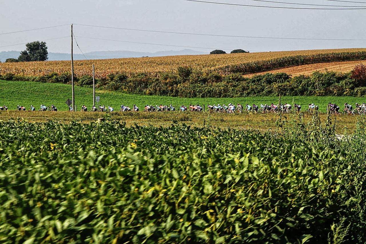 The peloton all string out