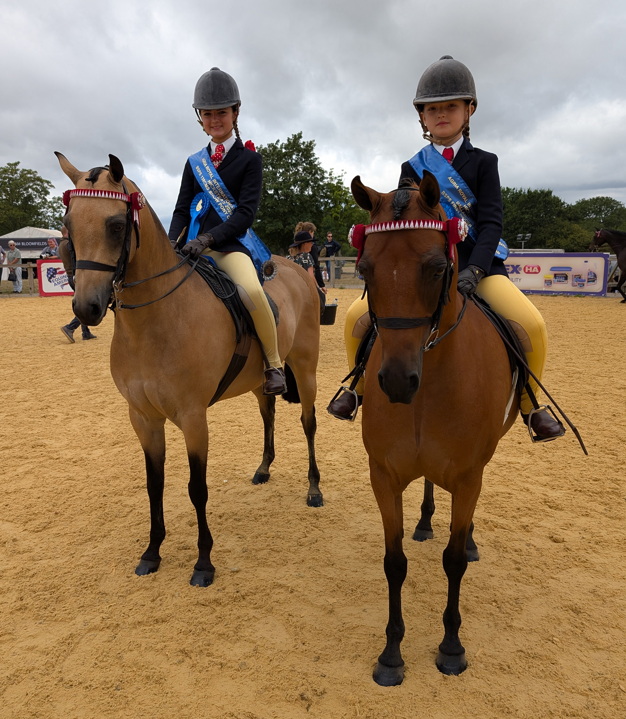 A buckskin and a bay show pony with their riders wearing their blue winner&amp;rsquo;s sashes