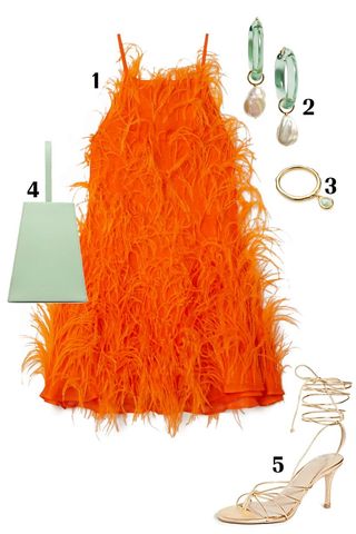 A Feathered Frock