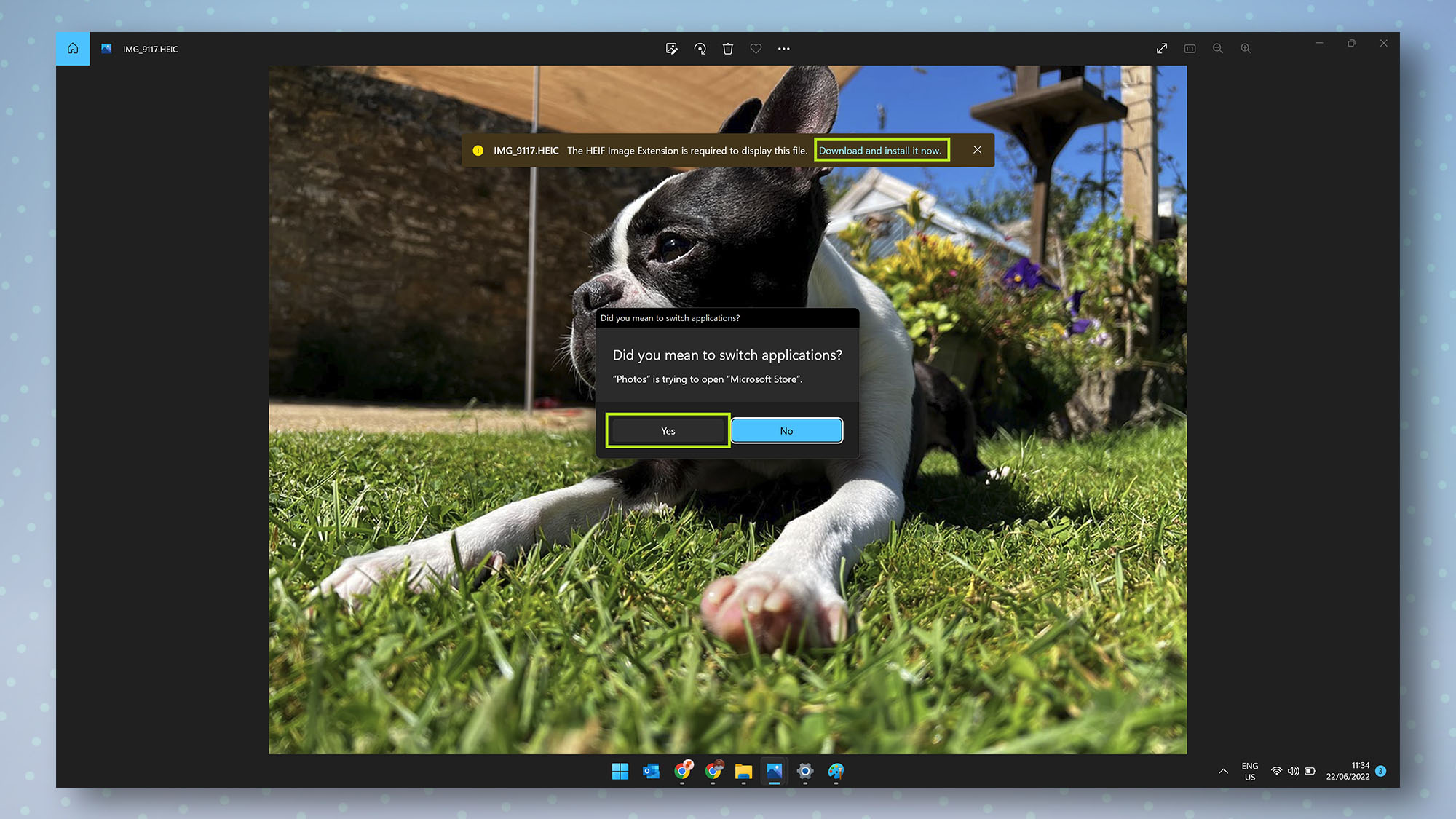 Image opened in Windows Photos app with HEIC download link highlighted