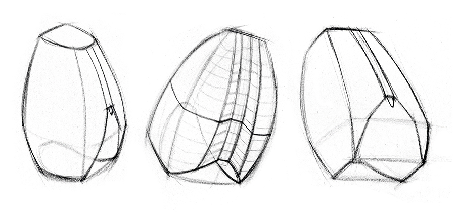 Proportions are measured in relation to other body parts