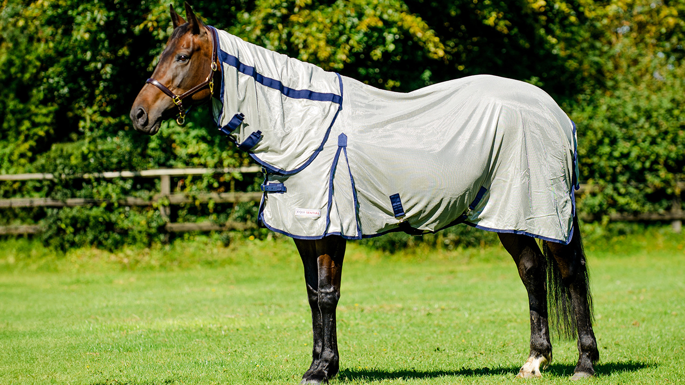 Mackey Equi-Sential Fly Rug