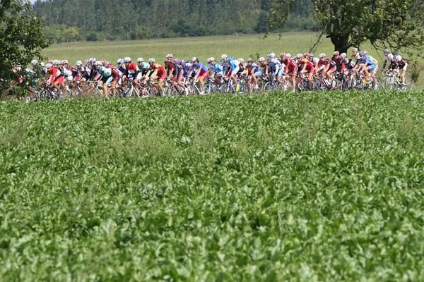 The peloton in action during stage two.