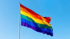 Pride flag