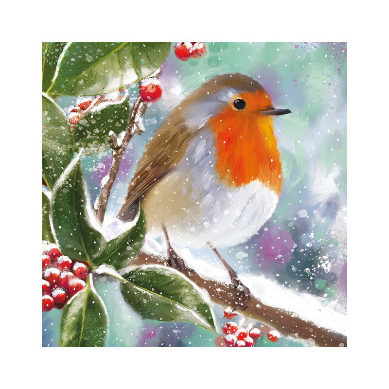 Robin Christmas Cards - 10 Pack