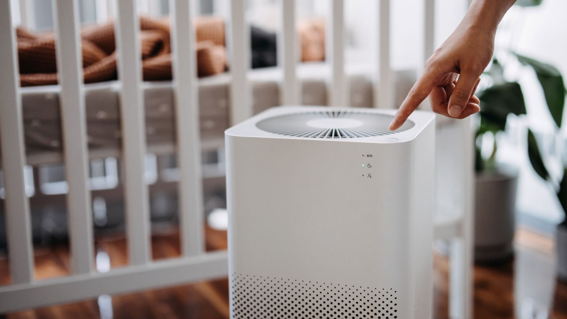 skorsten løgner Bevæger sig Best air purifiers 2023 | Live Science
