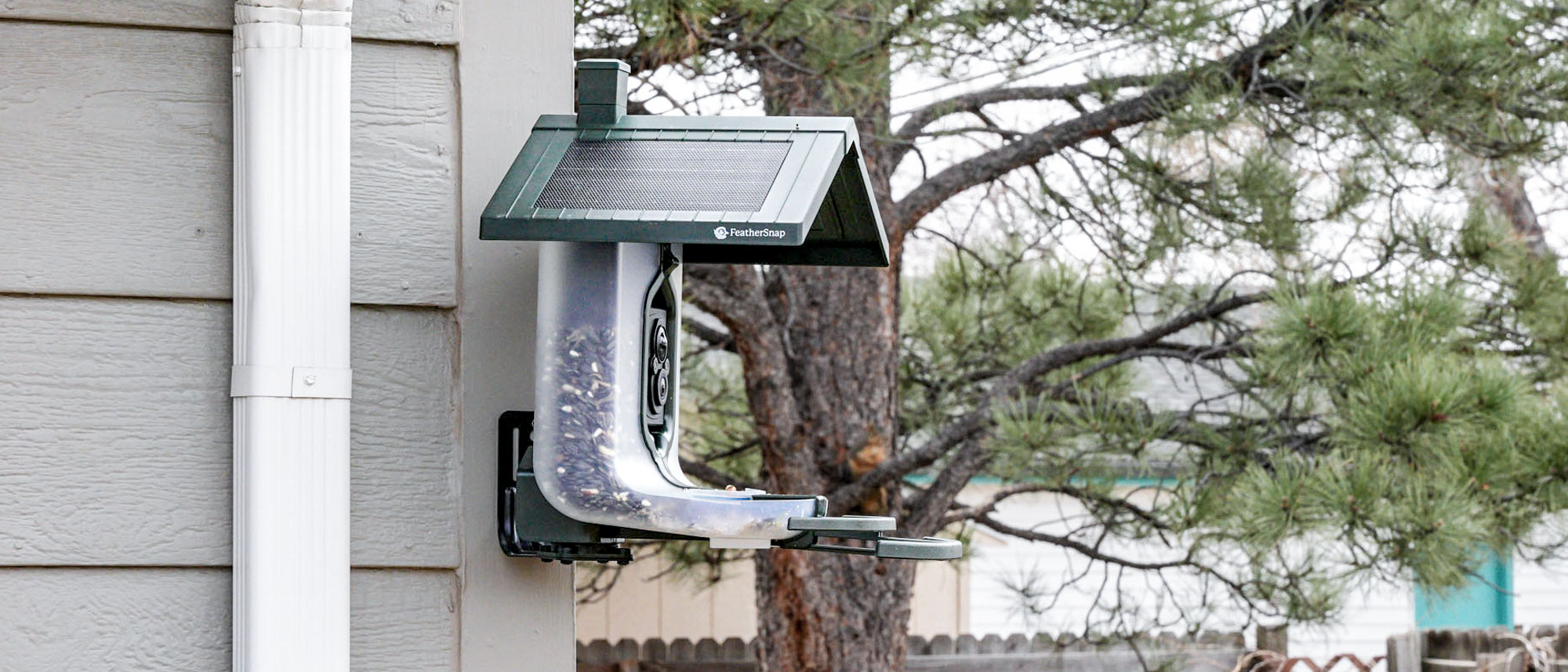 Feathersnap Scout Bird Feeder mounted on the side of a house.