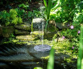 A solar water fountain in a pond