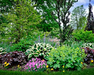 garden with a variety of colorful plants including hostas