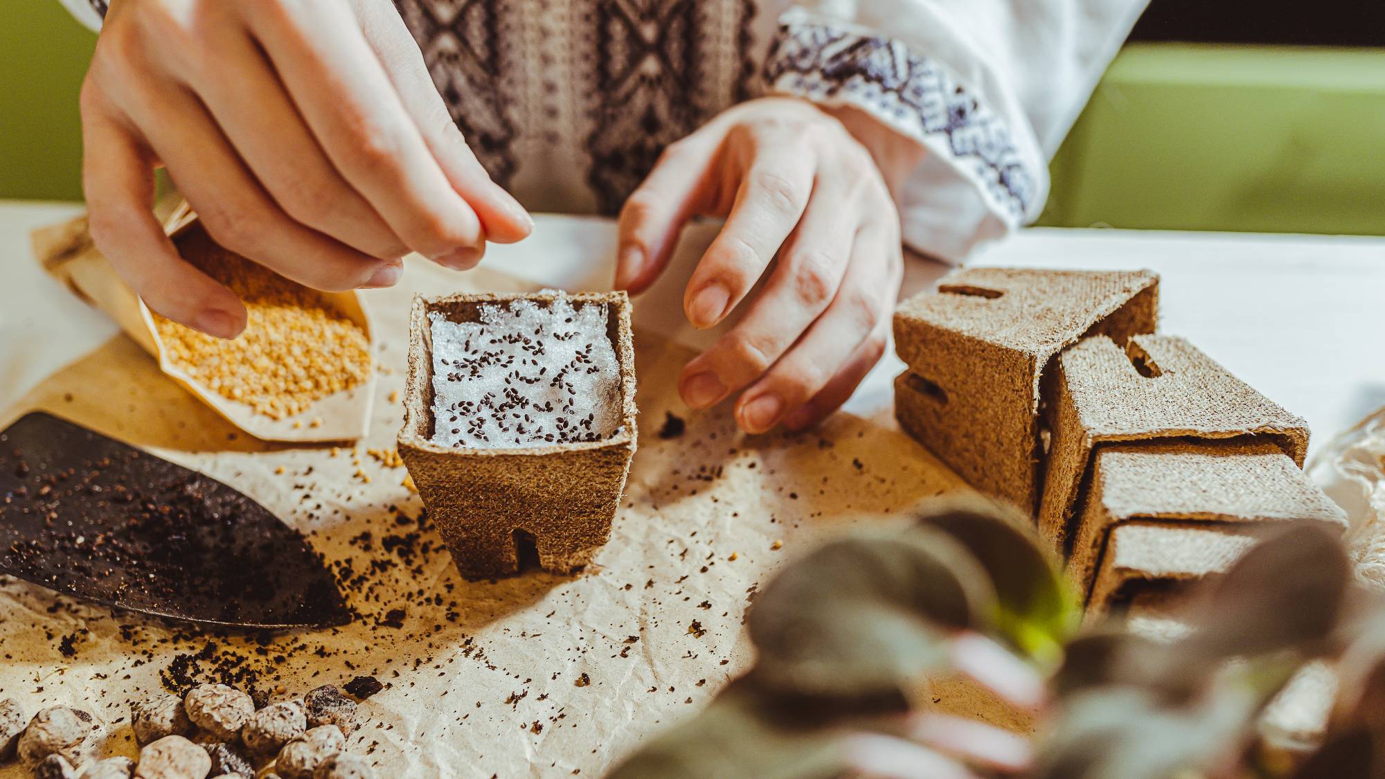 Woman using unusual seed stratification method of snow