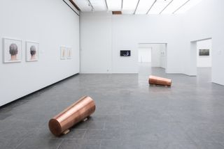 Exhibition of Roni Horn artworks