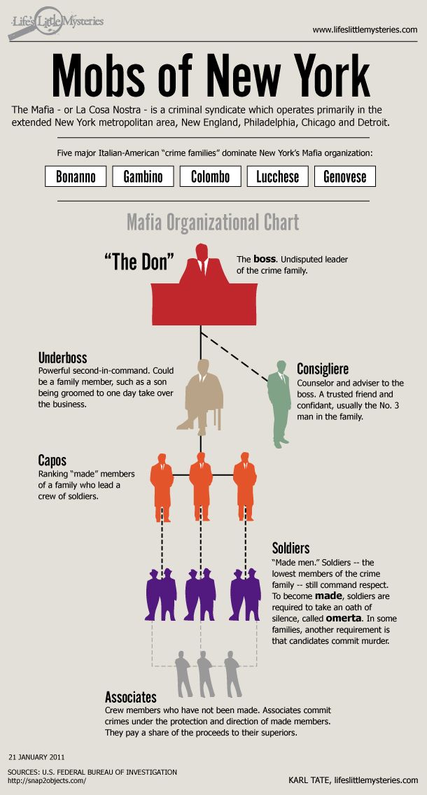 Infographic How Does the Mob Work? Live Science