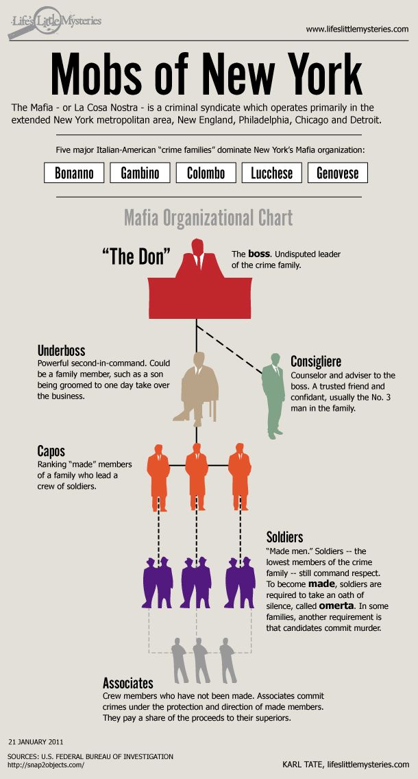 New York Mobs Infographic