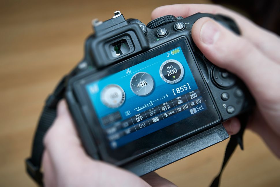 Macro photography techniques, tips and tricks 77 photography tips and