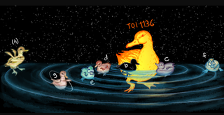 An illustration shows the planets of the TOI-1136 system as ducks
