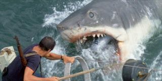 Roy Scheider as Martin Brody with the shark in Jaws (1975)