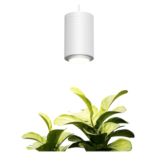 A hanging pendant grow light in white