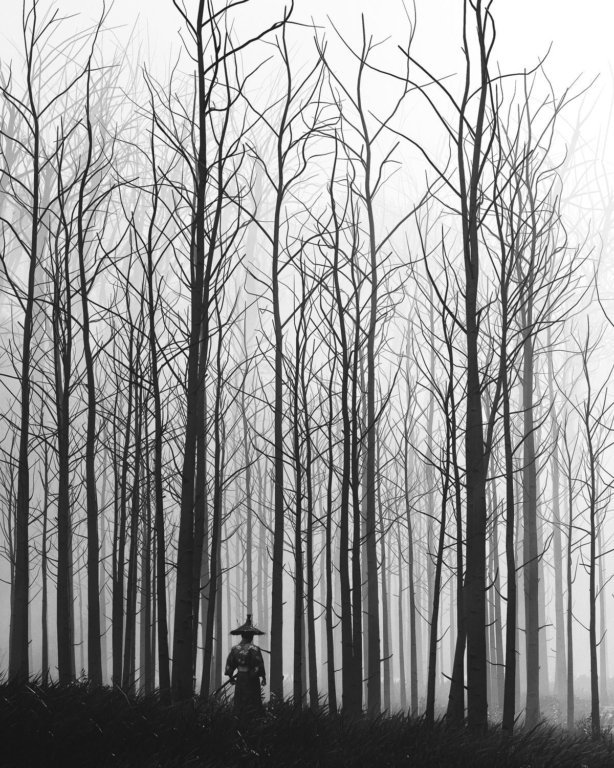The Virtual Photography Awards for 2025