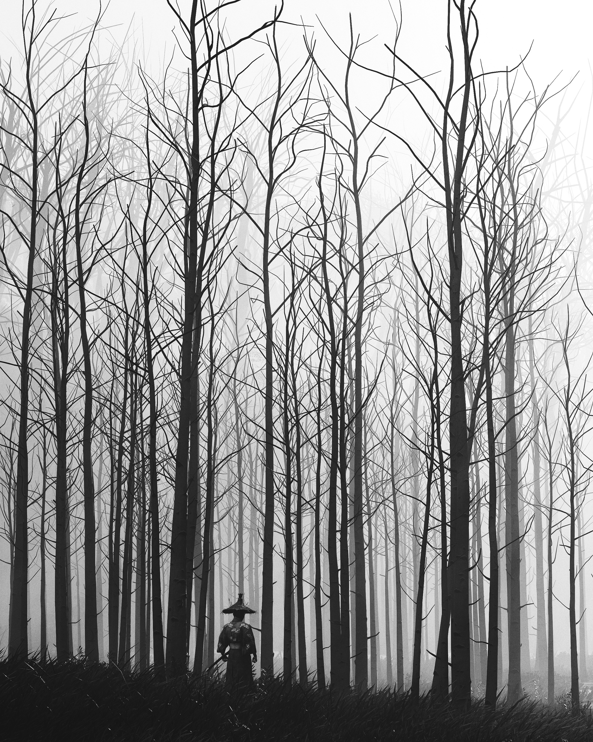 The Virtual Photography Awards for 2025