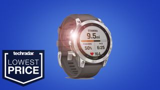 Garmin forerunner best sale 25 walmart