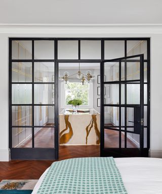 crittall style doors for a closet
