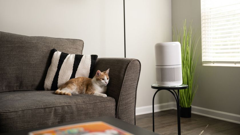 An orange cat sitting on a sofa next to an air purifier