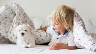 A boy with his white pet dog in bed