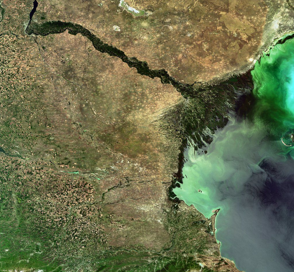 A view of a green river delta from space.
