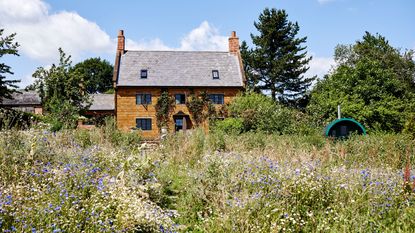 stone built country cottage with wildflower meadow in front