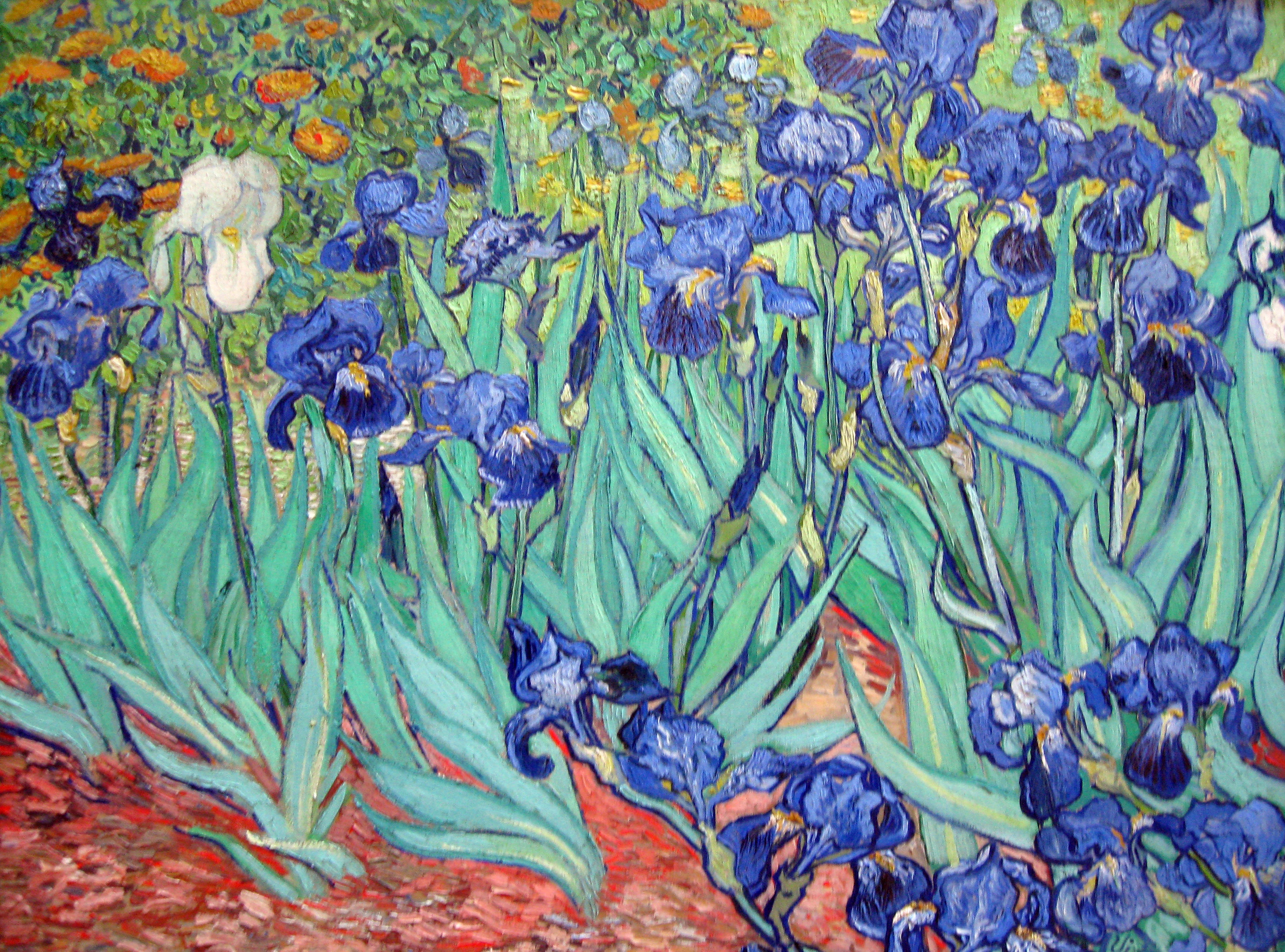 Van Gogh painting of iris flowers
