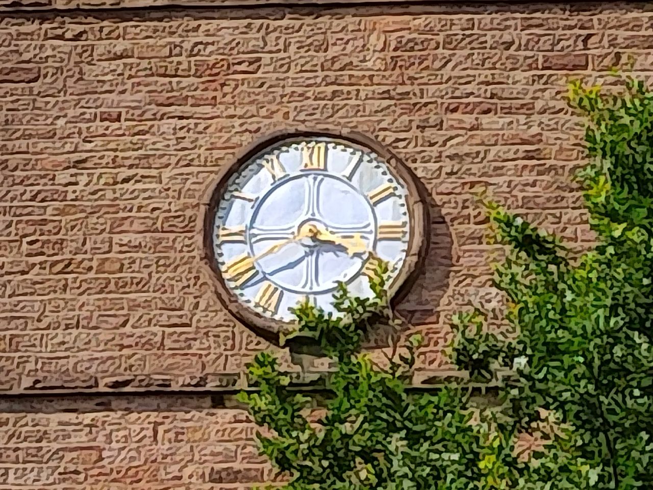 TCL 10 5G camera sample