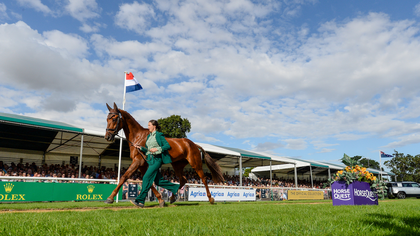 Hollie Swain and Solo at the Burghley final trot-up