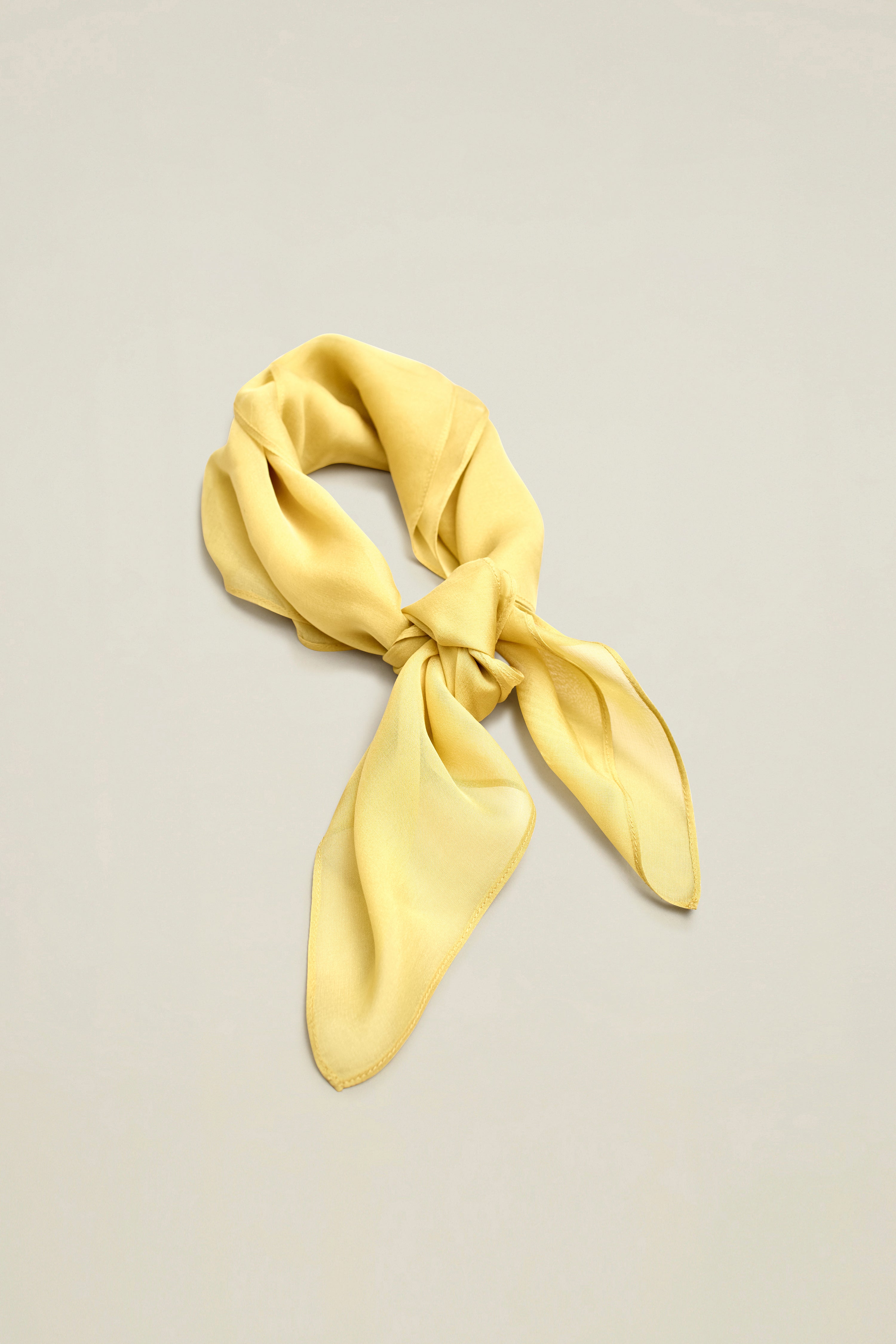 Small Scarf in Silk Chiffon