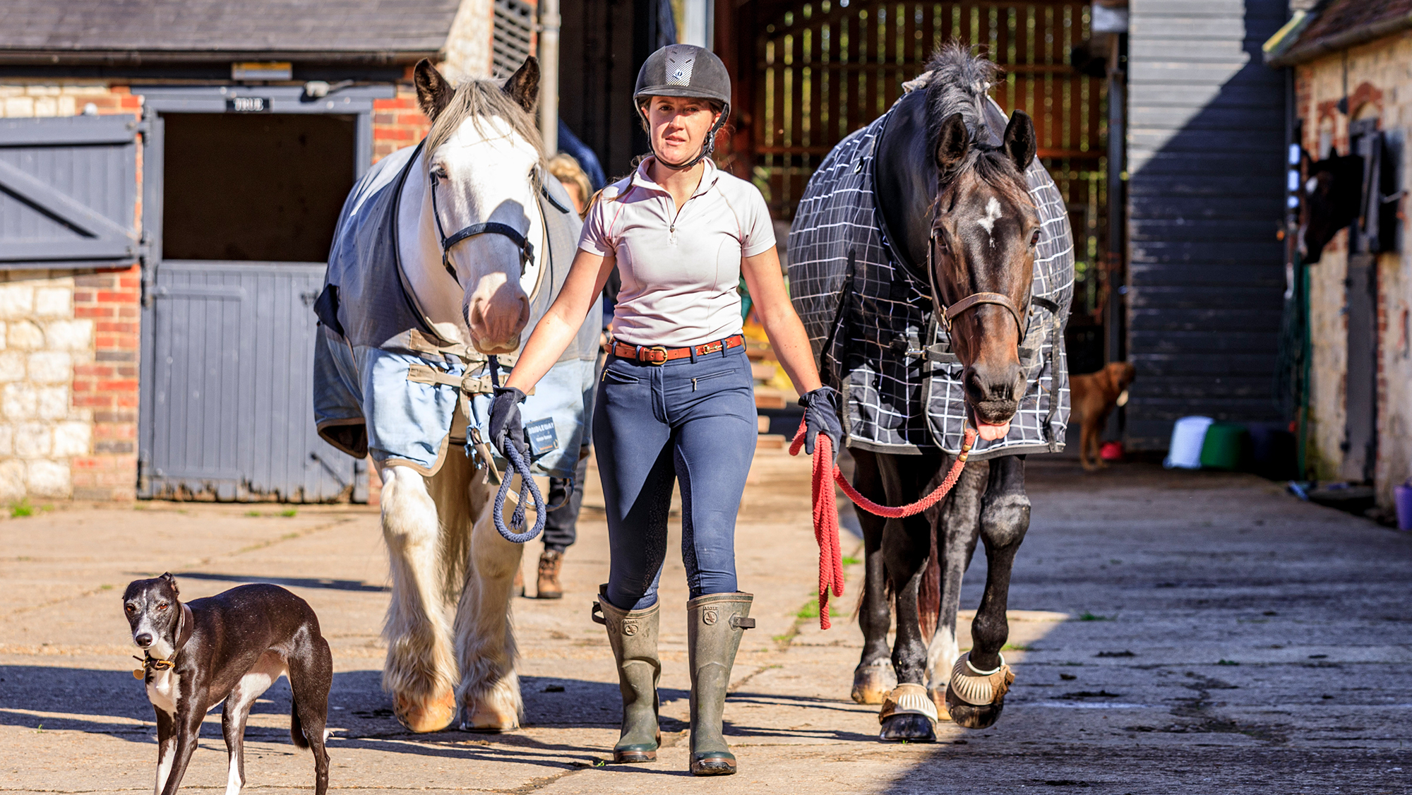 One owner leading two horses because she&amp;rsquo;s teamed up to save money on horse costs