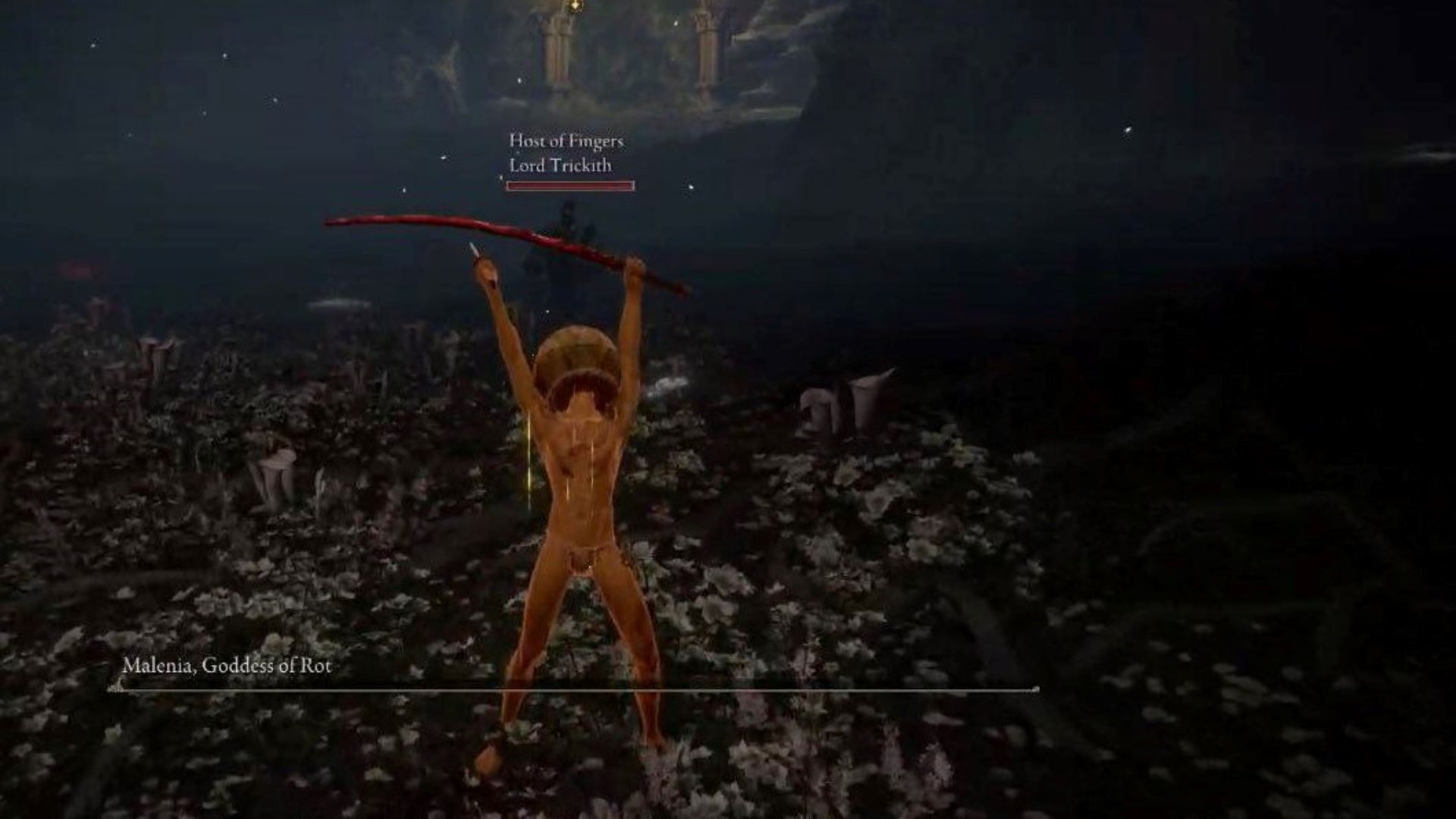 1000 Malenia kills gets Let Me Solo Her his own Elden Ring gift