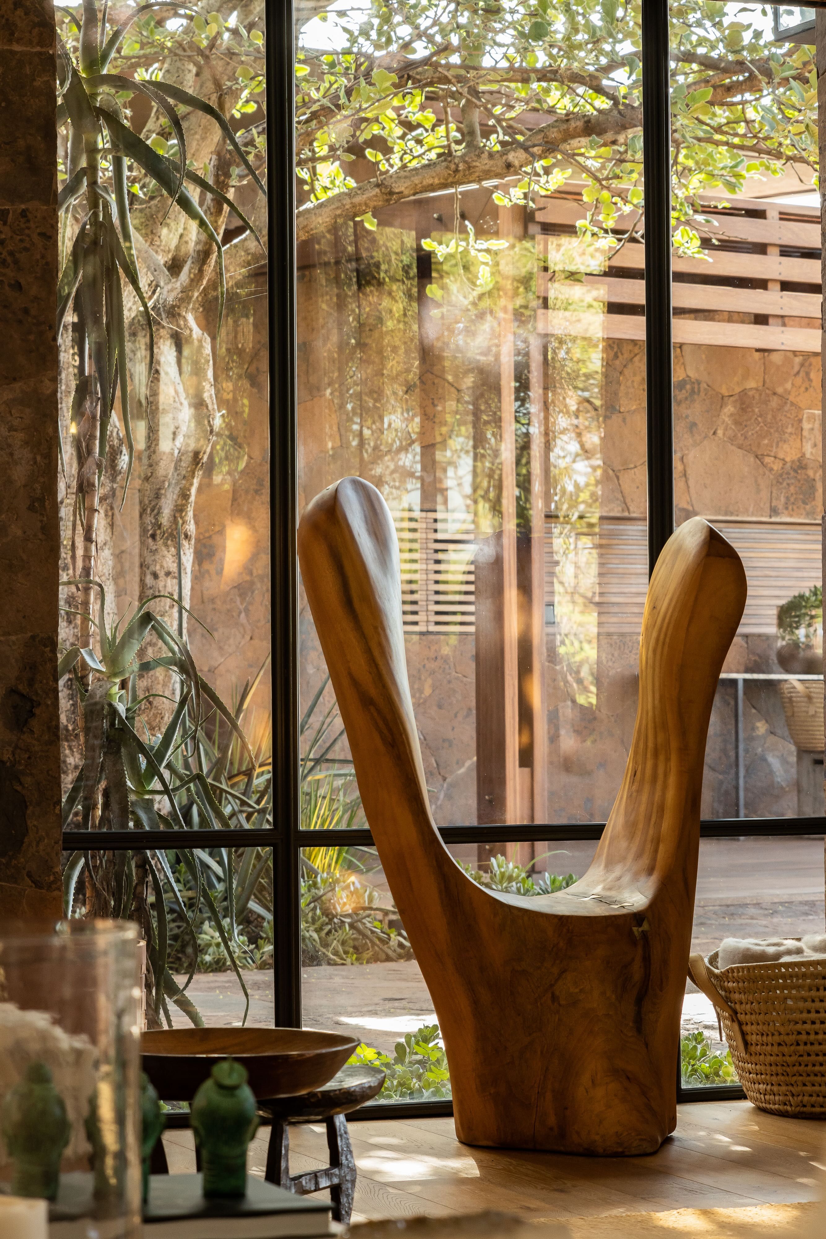 A series of sun-lit shots depicting the stunning wetland nature surrounding a luxury lodge resort.