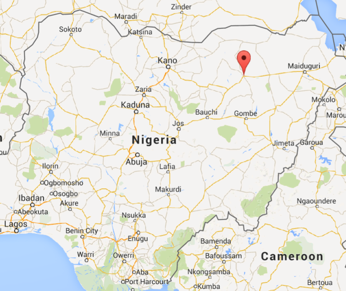 Suspected Boko Haram suicide bomber kills 47 in Nigerian school