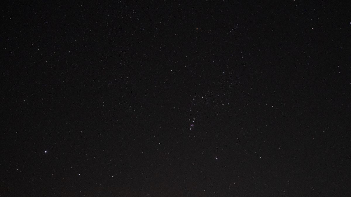 Orion and Sirius in the night sky.
