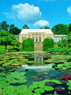 Visit the beautiful Wilhelma Botanical Garden